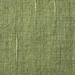 shaddy2026g-0928