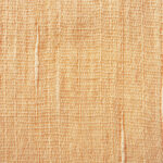 shaddy2026g-0929