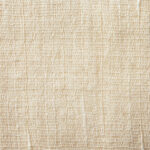 shaddy2026g-0933