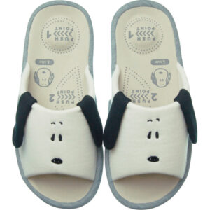 shaddy2026g-0954