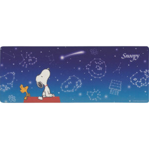 shaddy2026g-0659