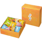 shaddy2026g-3541