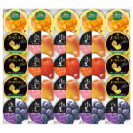 shaddy2026s-0572