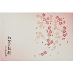 shaddy2026s-0452