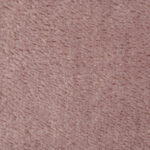 shaddy2026r-0083