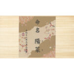 shaddy2026md-0393