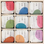 shaddy2026md-0643