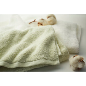 shaddy2026ld-0187