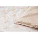 shaddy2026ld-0002