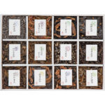 shaddy2026ld-0753