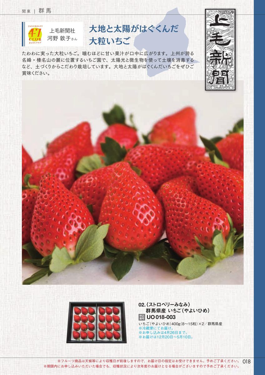 上毛新聞社「群馬県産いちご(やよいひめ)」ストロベリーみなみ