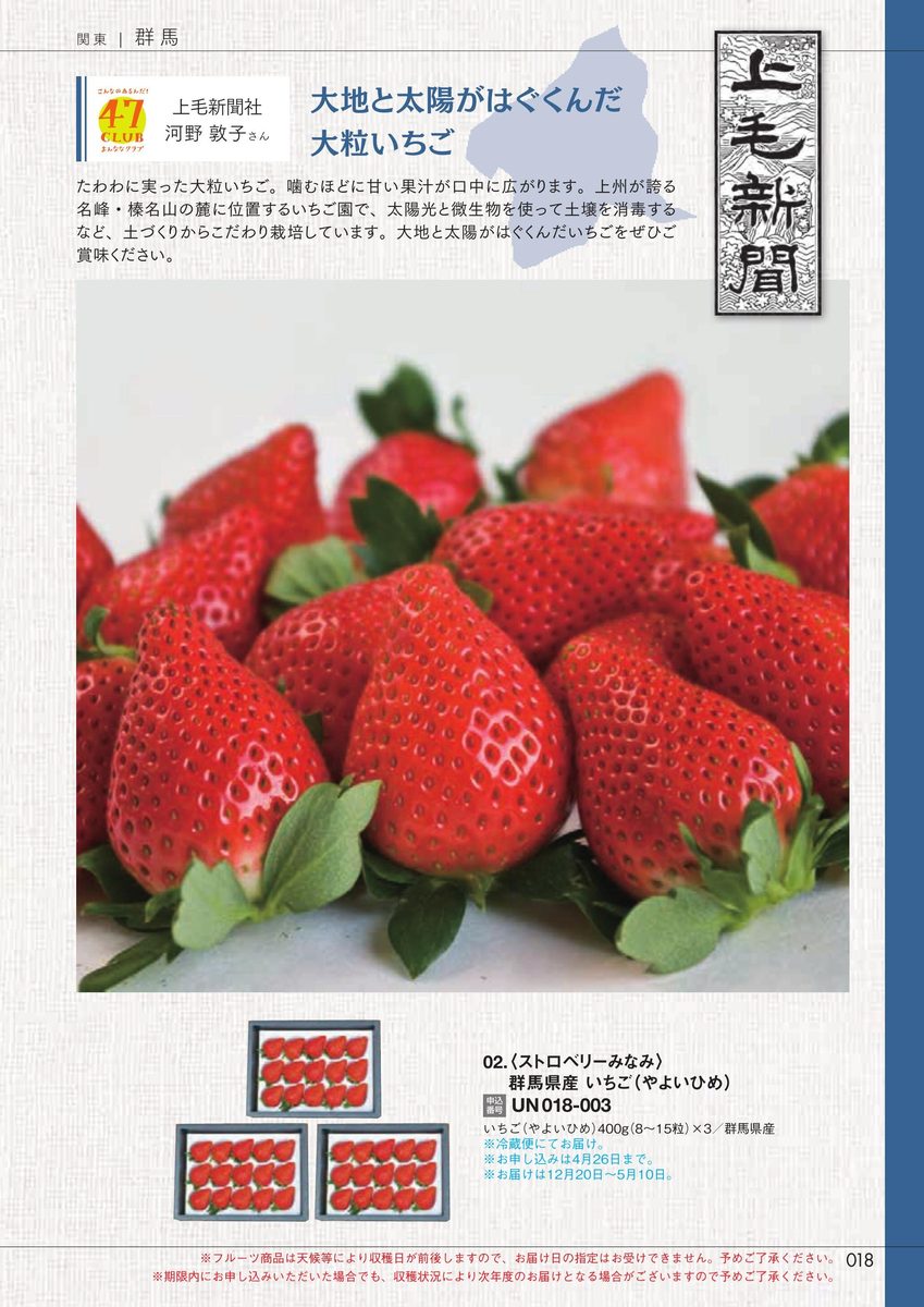 上毛新聞社「群馬県産いちご(やよいひめ)」ストロベリーみなみ
