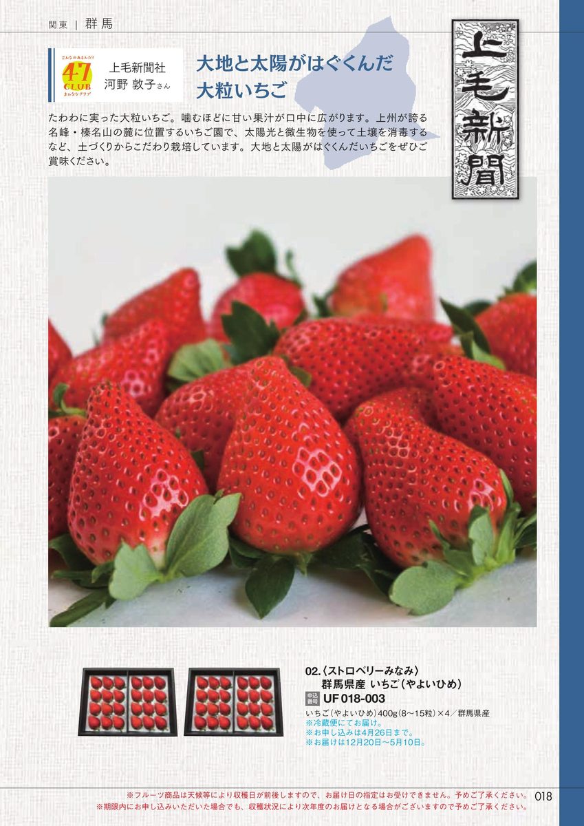 上毛新聞社「群馬県産いちご」