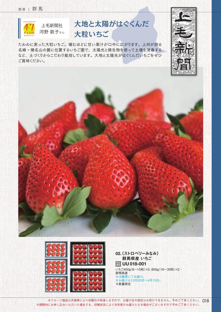 上毛新聞社「群馬県産いちご」ストロベリーみなみ