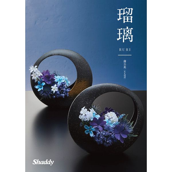 蒲公英 表紙