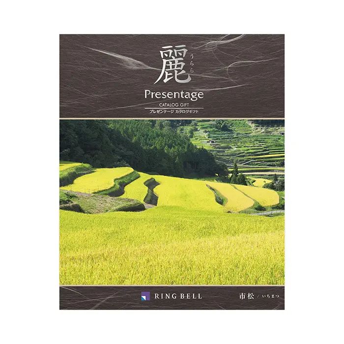 市松 表紙