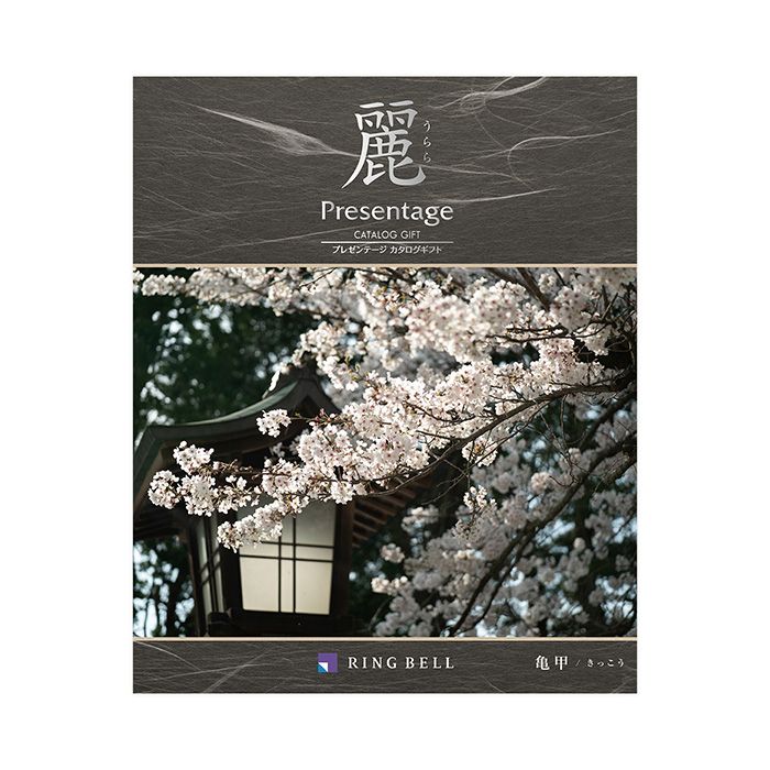 亀甲 表紙