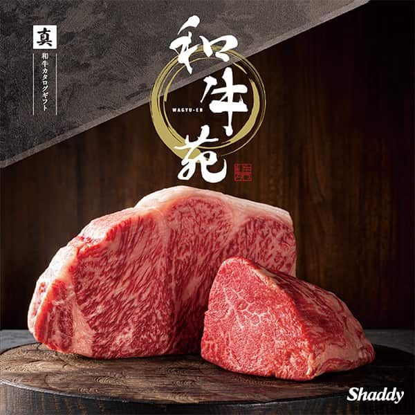 真-まこと- 表紙